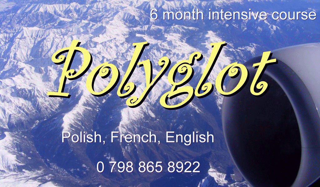 have a look at  Poliglot